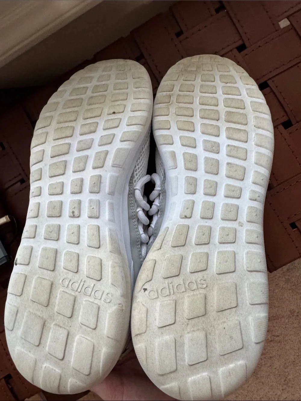 adidas Men's White Knit Sneakers
